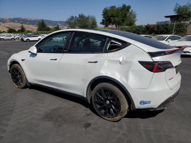2021 TESLA MODEL Y 5YJYGDEE1MF265155