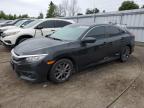 Top Destinations for Shipping Cars from the USA