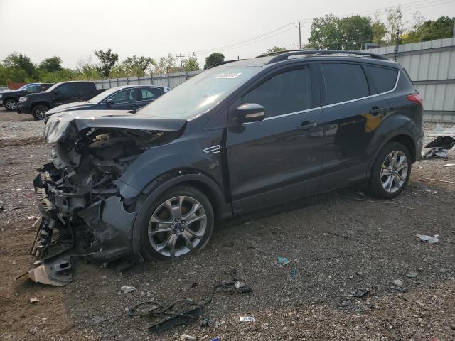 Global Auto Auctions: 2013 FORD ESCAPE SEL