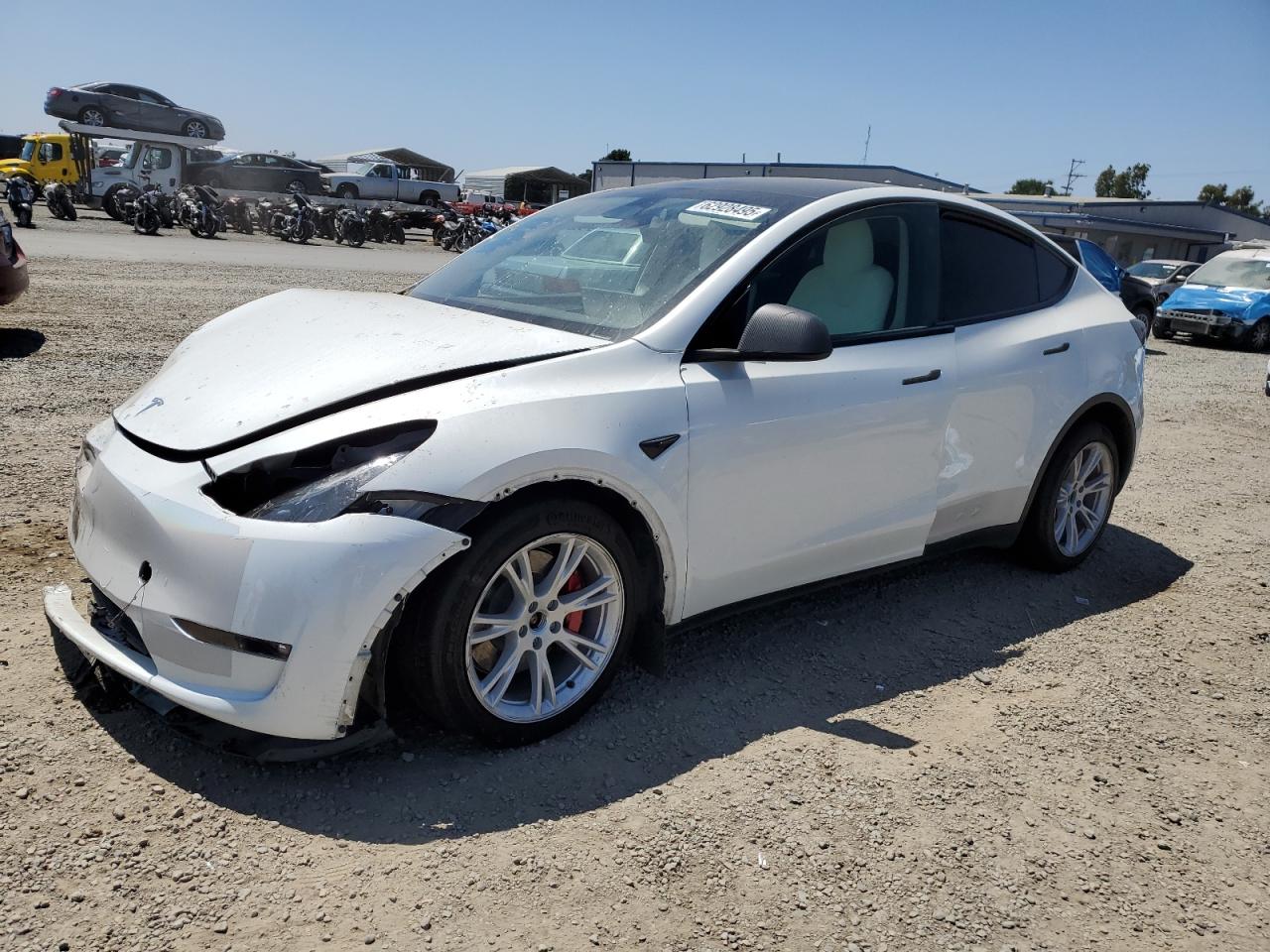Lot #3309217617 2023 TESLA MODEL Y