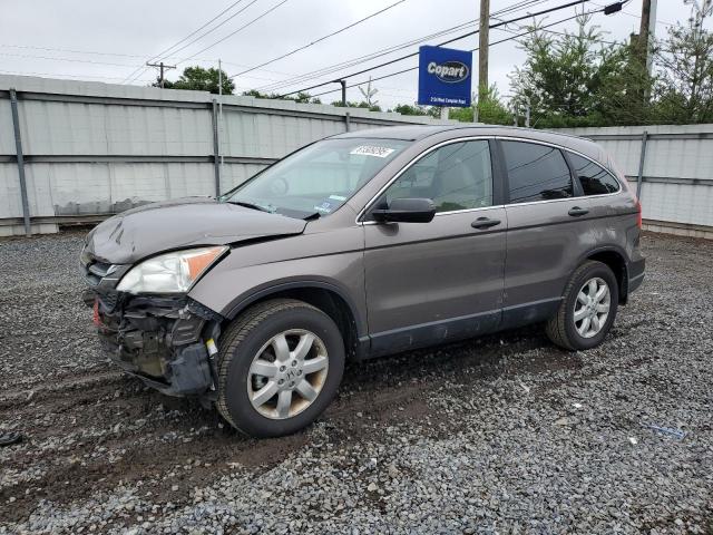 Vin: 5j6re4h44bl100380, lot: 61509295, honda crv se 2011 img_1