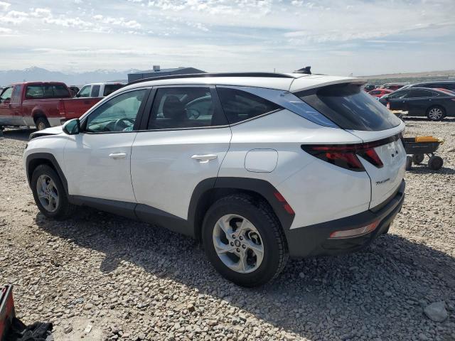 2024 HYUNDAI TUCSON SEL - 5NMJBCDE9RH308416