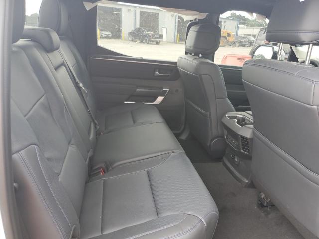 2025 TOYOTA TUNDRA CREWMAX PLATINUM 5TFNA5DB3SX284570