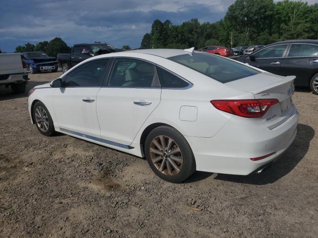 2017 HYUNDAI SONATA SPORT 5NPE34AF6HH547831