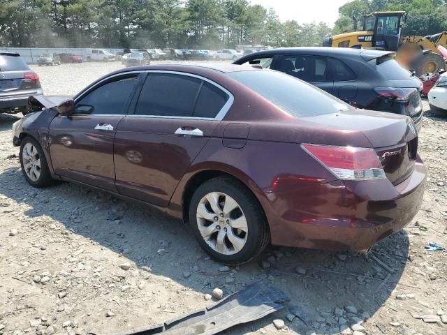 Vin: 5kbcp3f86ab007787, lot: 60488075, honda accord exl 20102