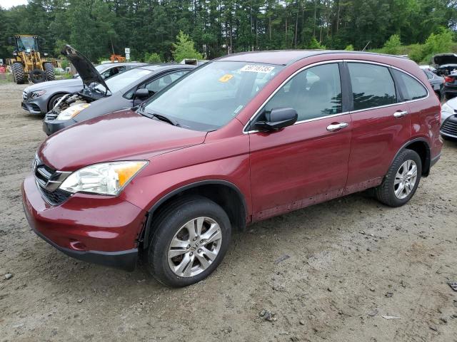 Vin: 5j6re4h39al042773, lot: 59718735, honda crv lx 2010 img_1