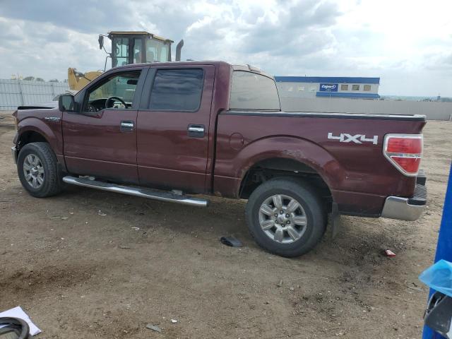 Vin: 1ftew1e88afa28250, lot: 59982385, ford f-150 supercrew 20102