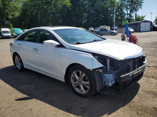 2011 HYUNDAI SONATA SE - 5NPEC4AB1BH303783