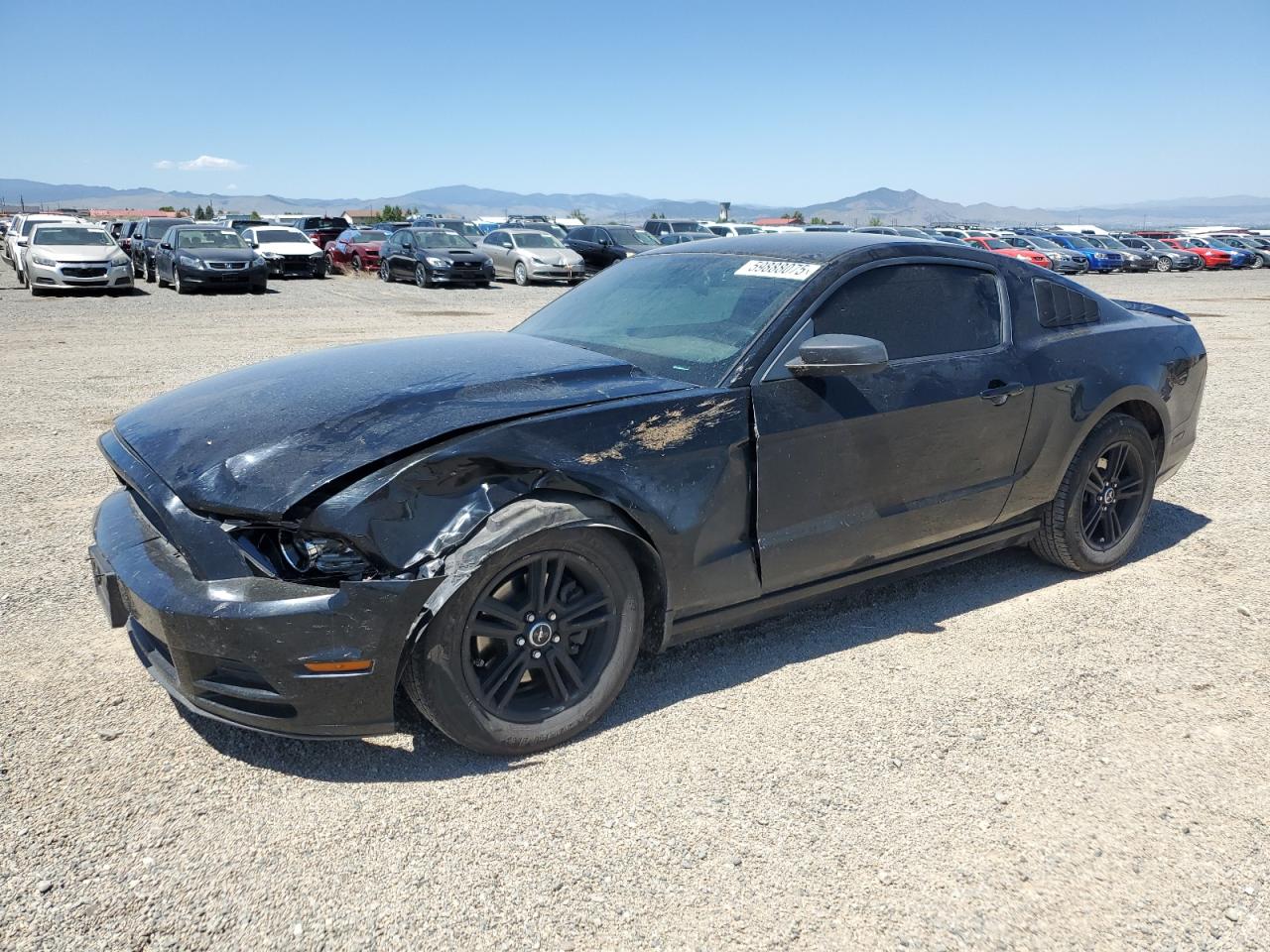 Lot #3207436159 2013 FORD MUSTANG