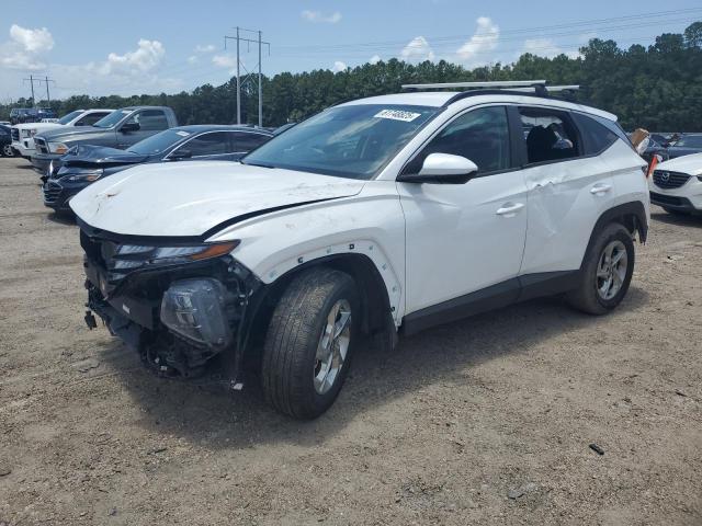 Vin: km8jb3de0ru273527, lot: 61748825, hyundai tucson sel 2024 img_1