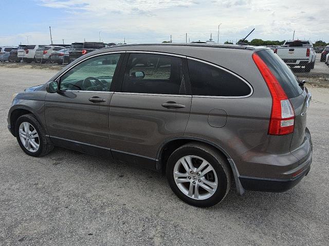 HONDA CR-V EXL 2010 gray  gas 5J6RE4H70AL031812 photo #3