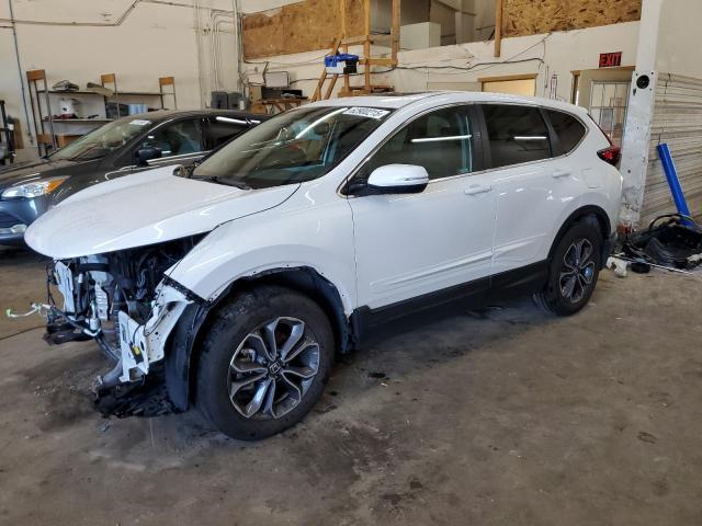 Vin: 2hkrw2h81lh686343, lot: 62900215, honda crv exl 2020 img_1
