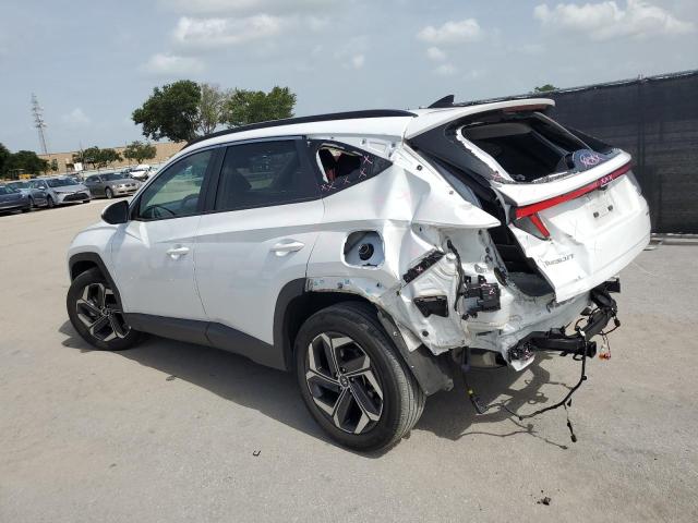 Vin: km8jccd10ru138011, lot: 59817065, hyundai tucson sel convenience 20242