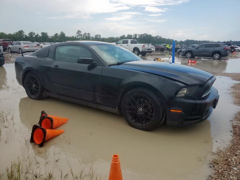Vin: 1zvbp8am5e5294426, lot: 58570275, ford all models 20144