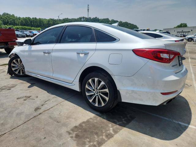 2017 HYUNDAI SONATA SPO 5NPE34AF8HH544526