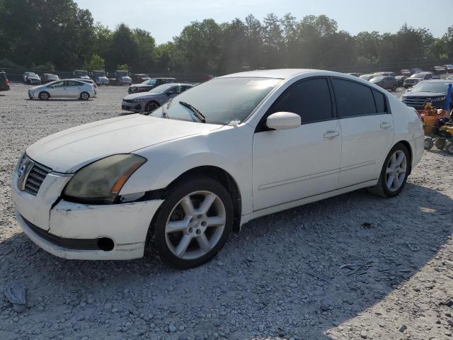 NISSAN MAXIMA SE