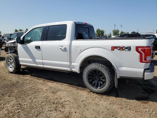 Vin: 1ftew1e47kfc70400, lot: 61854265, ford f-150 supercrew 20192