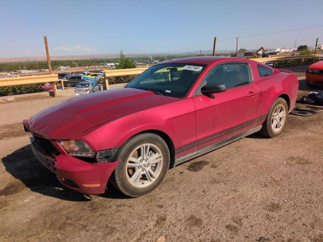 FORD MUSTANG