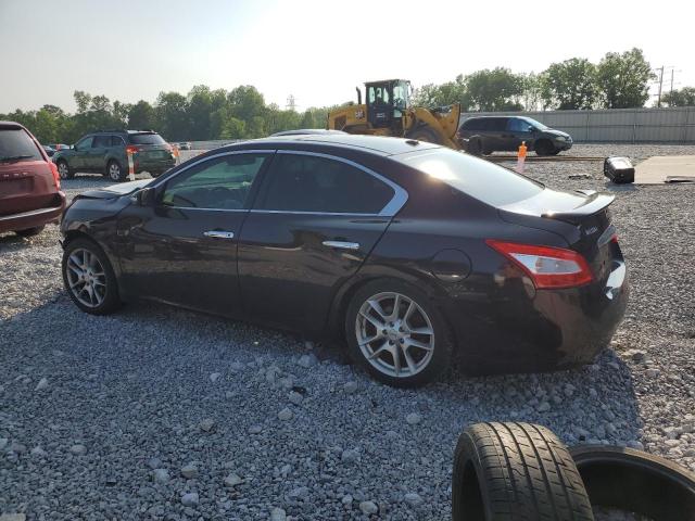 Vin: 1n4aa5ap7bc850516, lot: 60339385, nissan maxima s 20112