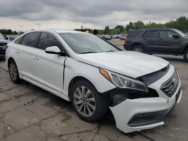 2017 HYUNDAI SONATA SPO 5NPE34AFXHH479940