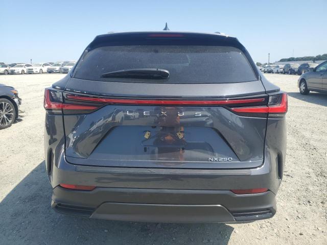 2024 LEXUS NX 250 BAS 2T2ADCAZ7RC010031