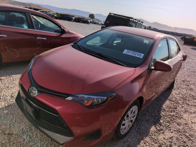 Vin: 5yfburhexkp899055, lot: 59193245, toyota corolla l 2019 img_1