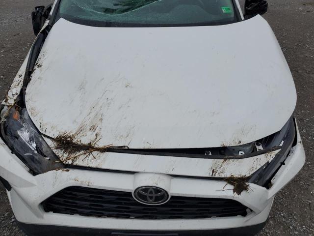 2019 TOYOTA RAV4 LE - 2T3F1RFV1KW014048