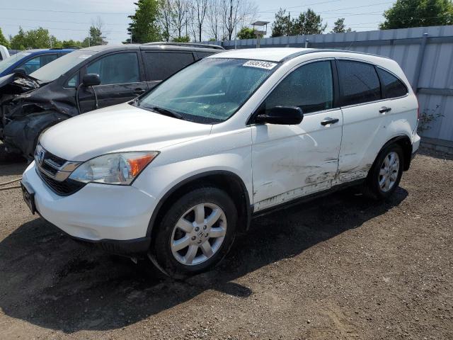 Vin: 5j6re3h37bl800265, lot: 59361435, honda crv lx 2011 img_1