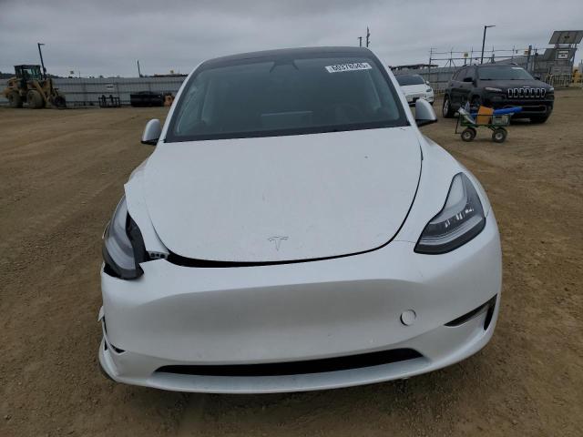 2021 TESLA MODEL Y 5YJYGAEE0MF282754