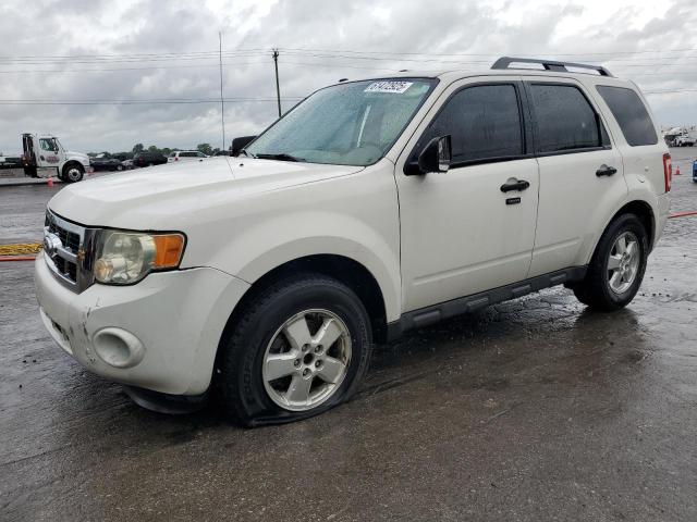 Vin: 1fmcu0dg0aka56109, lot: 61472925, ford escape xlt 2010 img_1