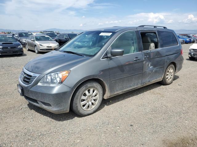 HONDA ODYSSEY EX