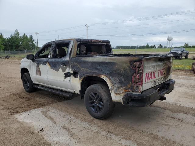 Vin: 1gcpycef4kz184055, lot: 59688635, chevrolet all models k1500 trail boss custom 20192
