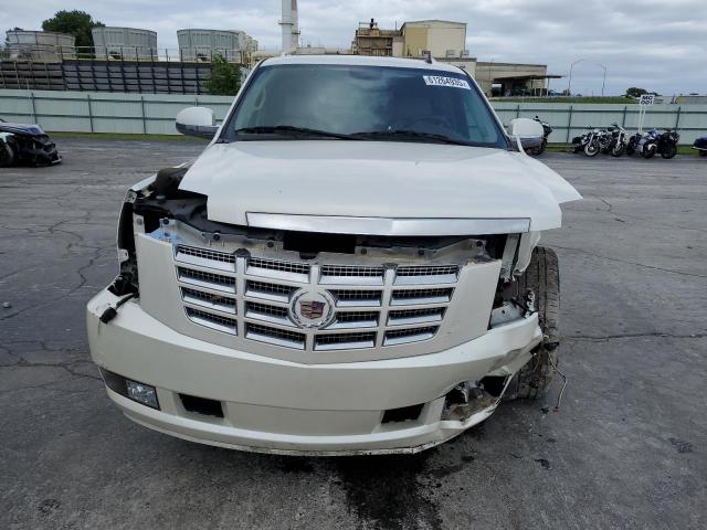 2010 CADILLAC ESCALADE P - 1GYUKCEF4AR235776
