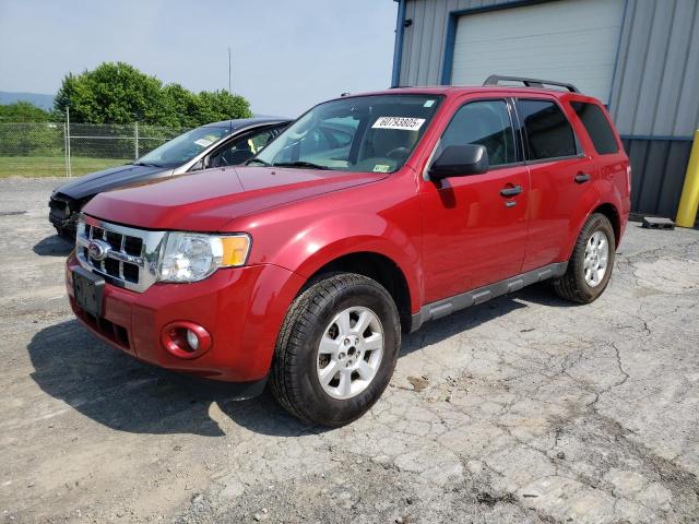 Vin: 1fmcu9d78akc91037, lot: 60793805, ford escape xlt 2010 img_1