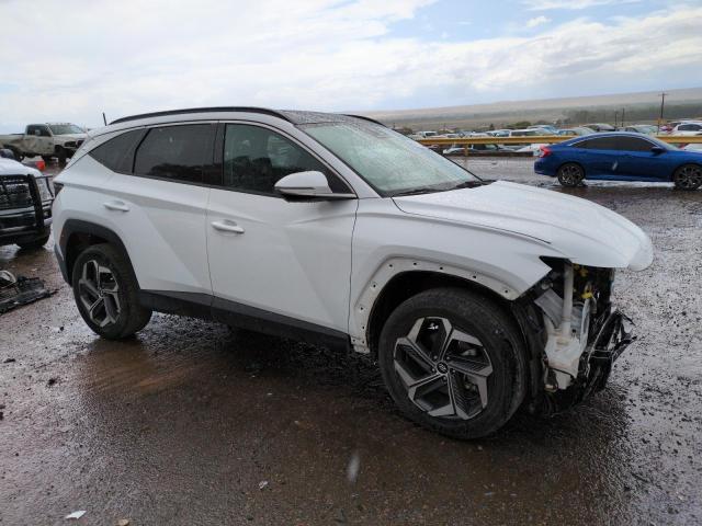 2023 HYUNDAI TUSCON 5NMJECAE7PH235538