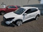 2020 FORD ESCAPE SE - 1FMCU9G60LUA59302
