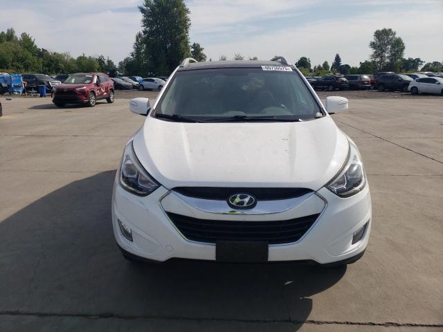 2015 HYUNDAI TUCSON LIM KM8JUCAG2FU029387