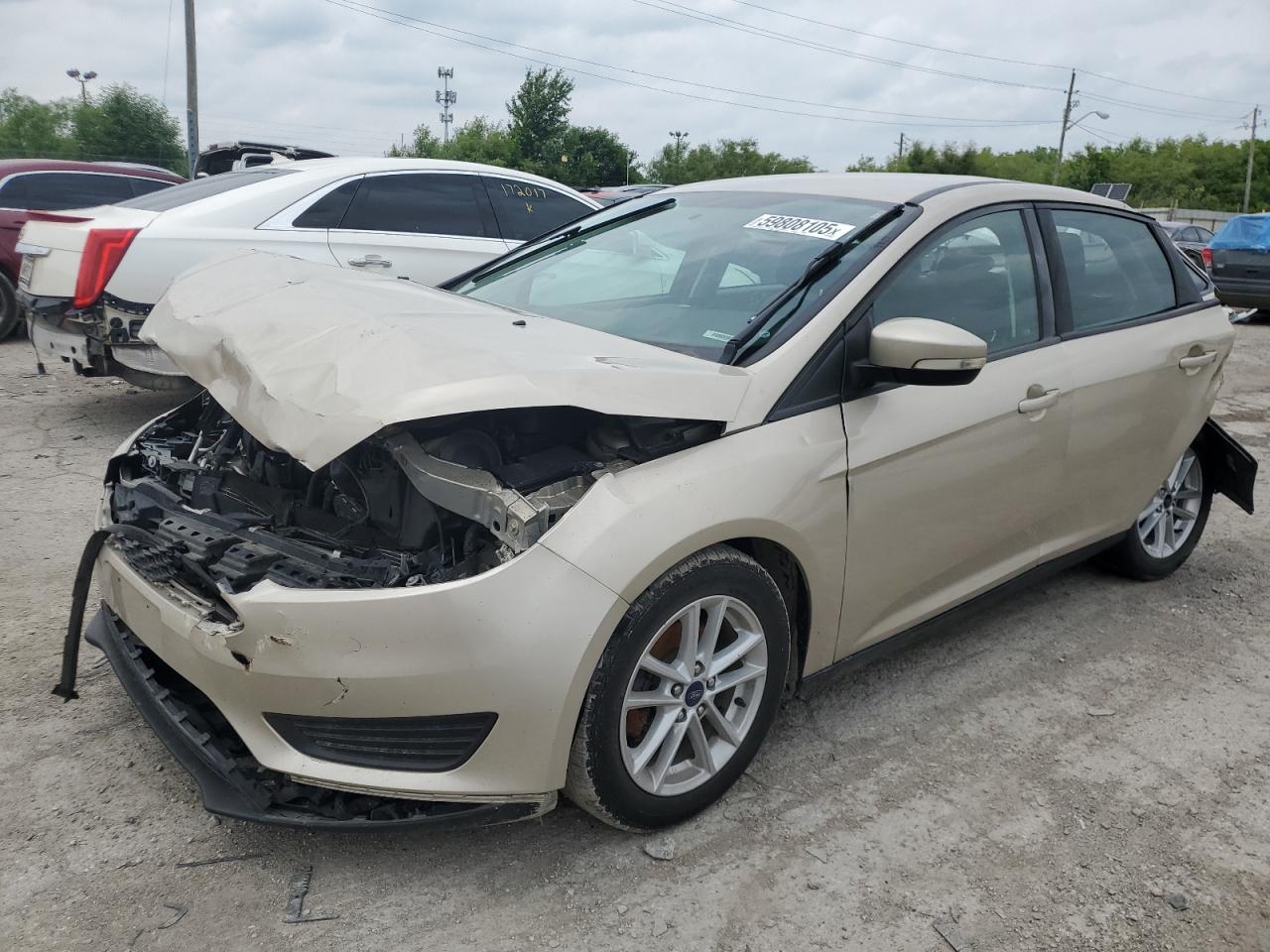 FORD FOCUS SE