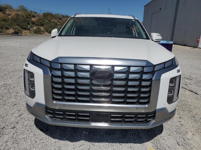 2025 HYUNDAI PALISADE C KM8R7DGE9SU853578