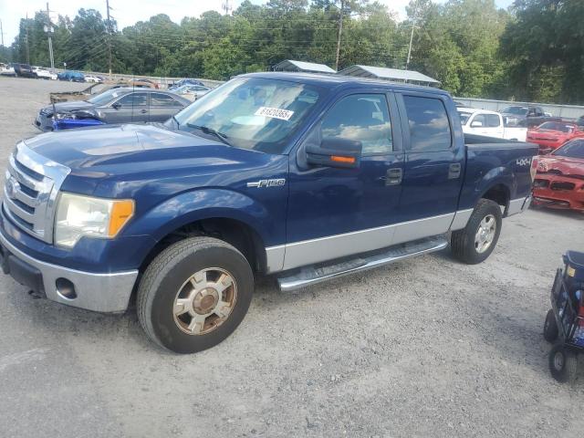 Vin: 1ftew1e89afd40450, lot: 61820365, ford f-150 supercrew 2010 img_1