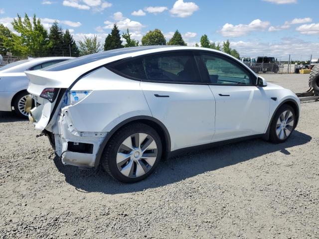 2021 TESLA MODEL Y 5YJYGAEE4MF239504