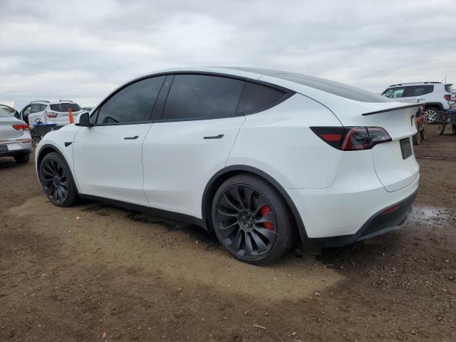2022 TESLA MODEL Y - 7SAYGDEF1NF397281