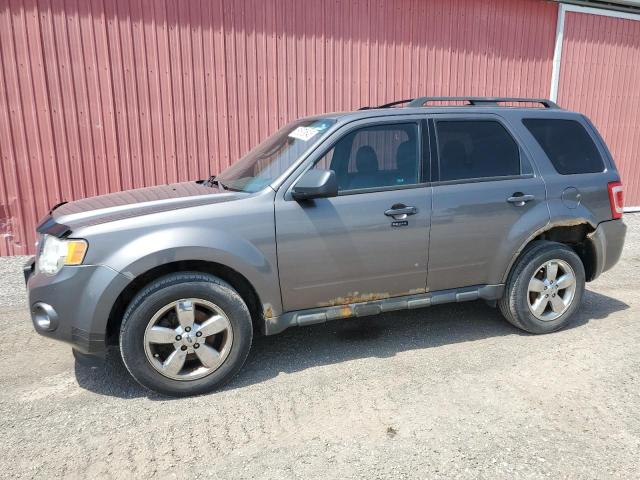 Vin: 1fmcu9dg8bkc00088, lot: 61679545, ford escape xlt 2011 img_1
