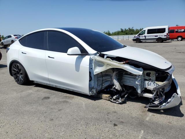 2023 TESLA MODEL Y 7SAYGDEF8PF743619