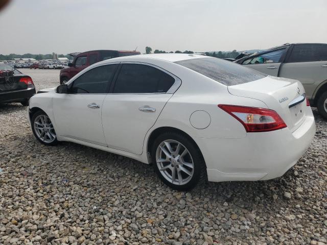 Vin: 1n4aa5ap4ac855607, lot: 60091795, nissan maxima s 20102