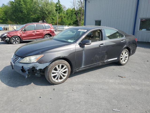Vin: jthbk1eg3c2505813, lot: 57897595, lexus es350 350 2012 img_1