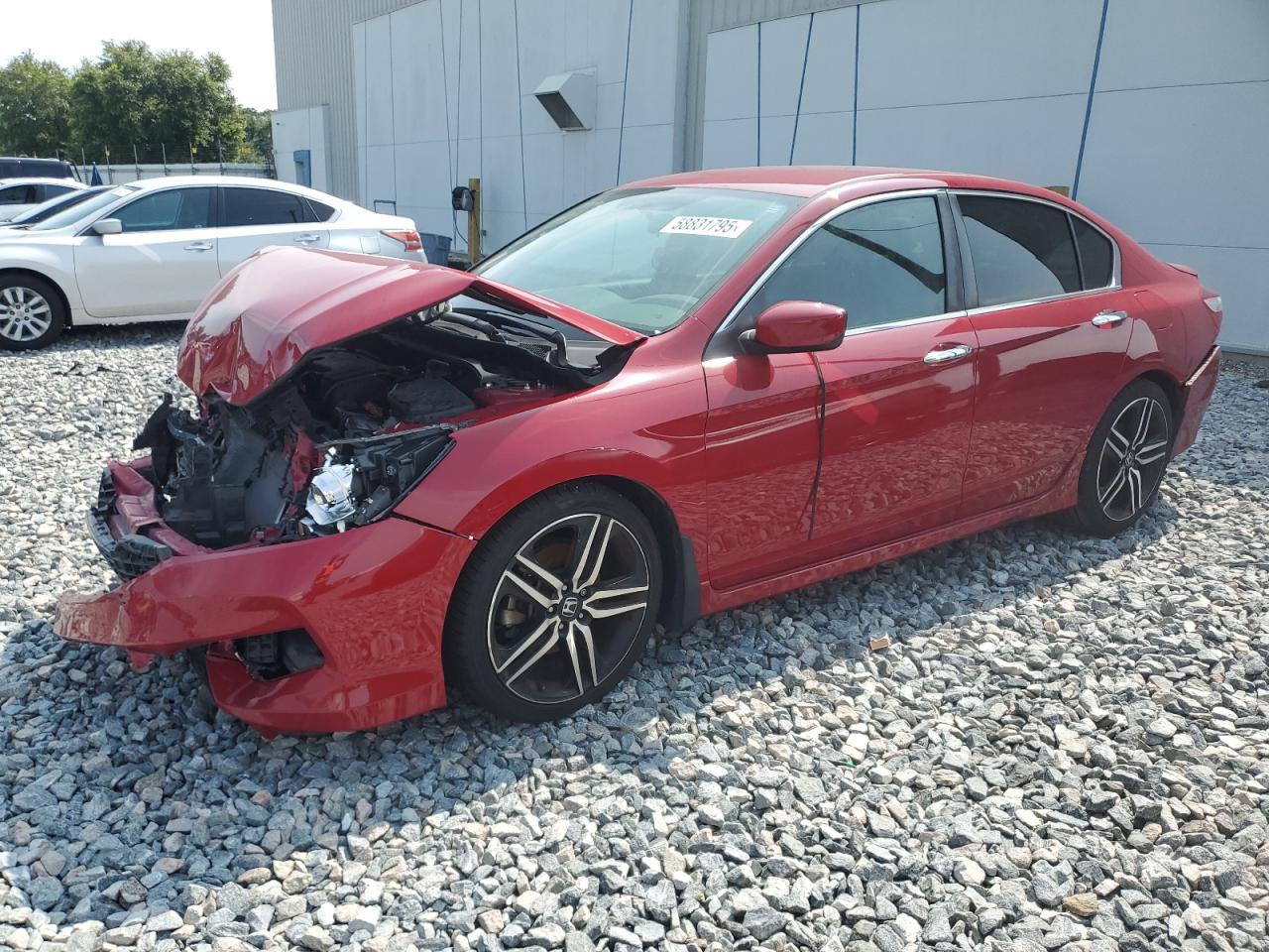 HONDA ACCORD SPORT SPECIAL EDITION