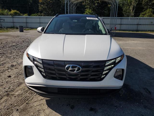 2024 HYUNDAI TUCSON SEL KM8JCCD17RU243757