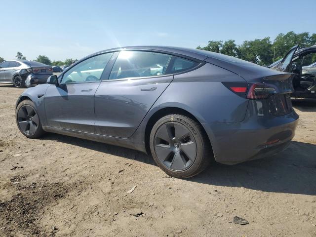 2023 TESLA MODEL 3 #3298145250