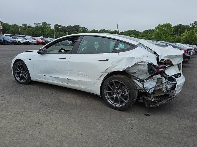Vin: 5yj3e1ea0pf463239, lot: 59770525, tesla model 3 20232